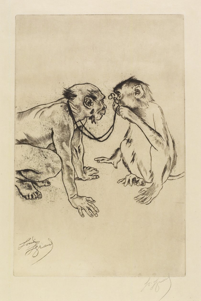Összehasonlító anatómia alkotó: Louis Auguste Mathieu Legrand