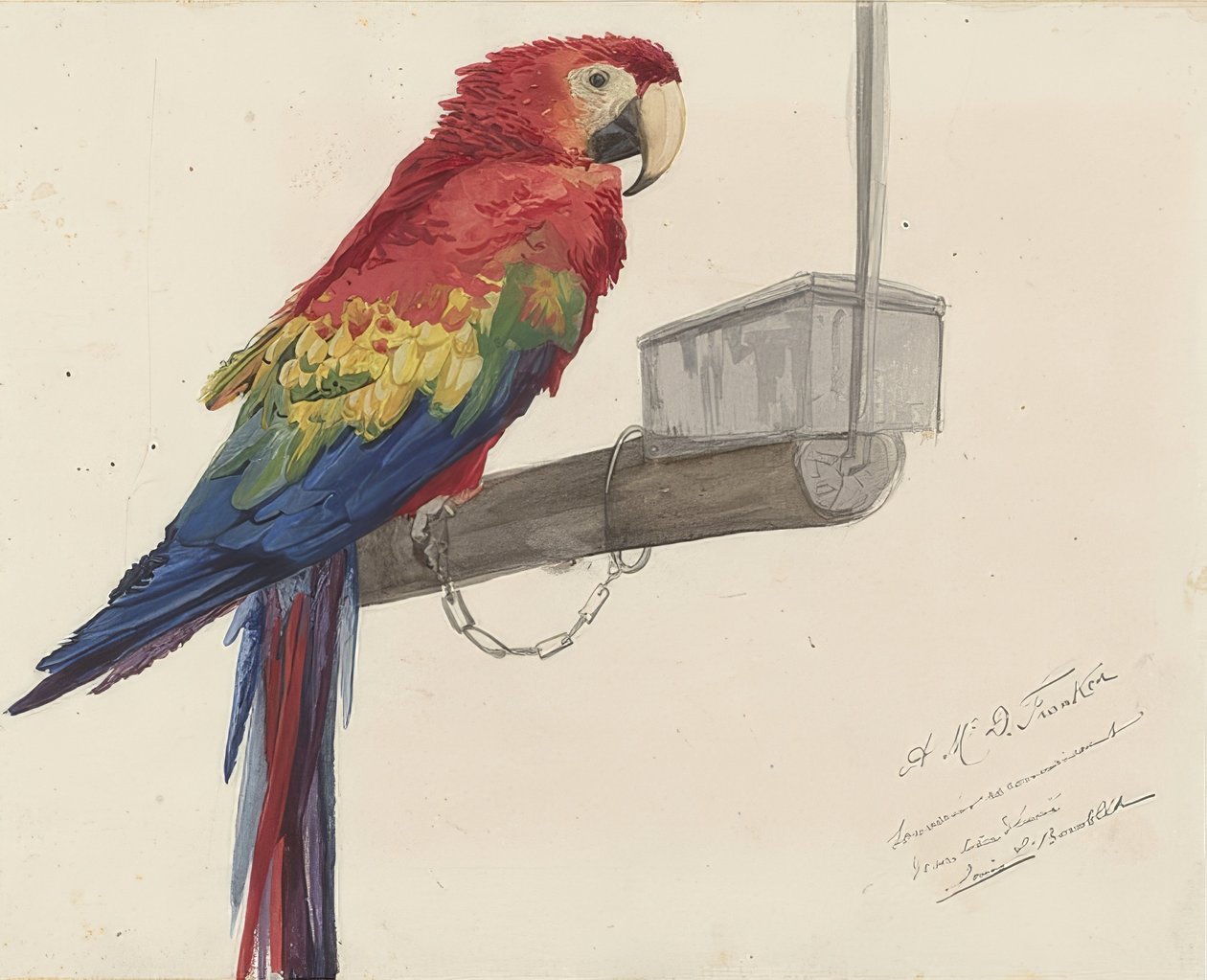 Papagei. 1879 alkotó: Louis Charles Bombled