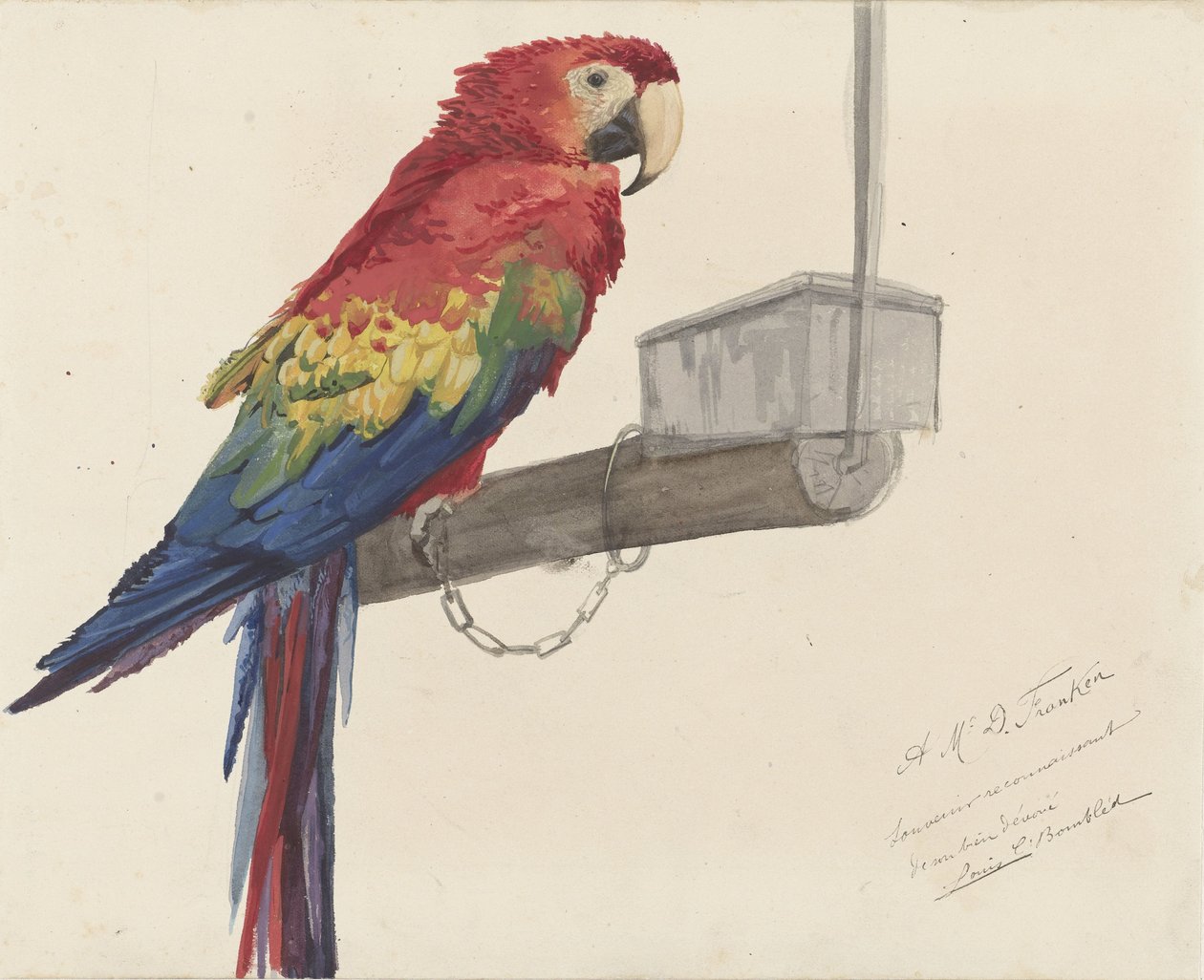 Papagáj alkotó: Louis Charles Bombled