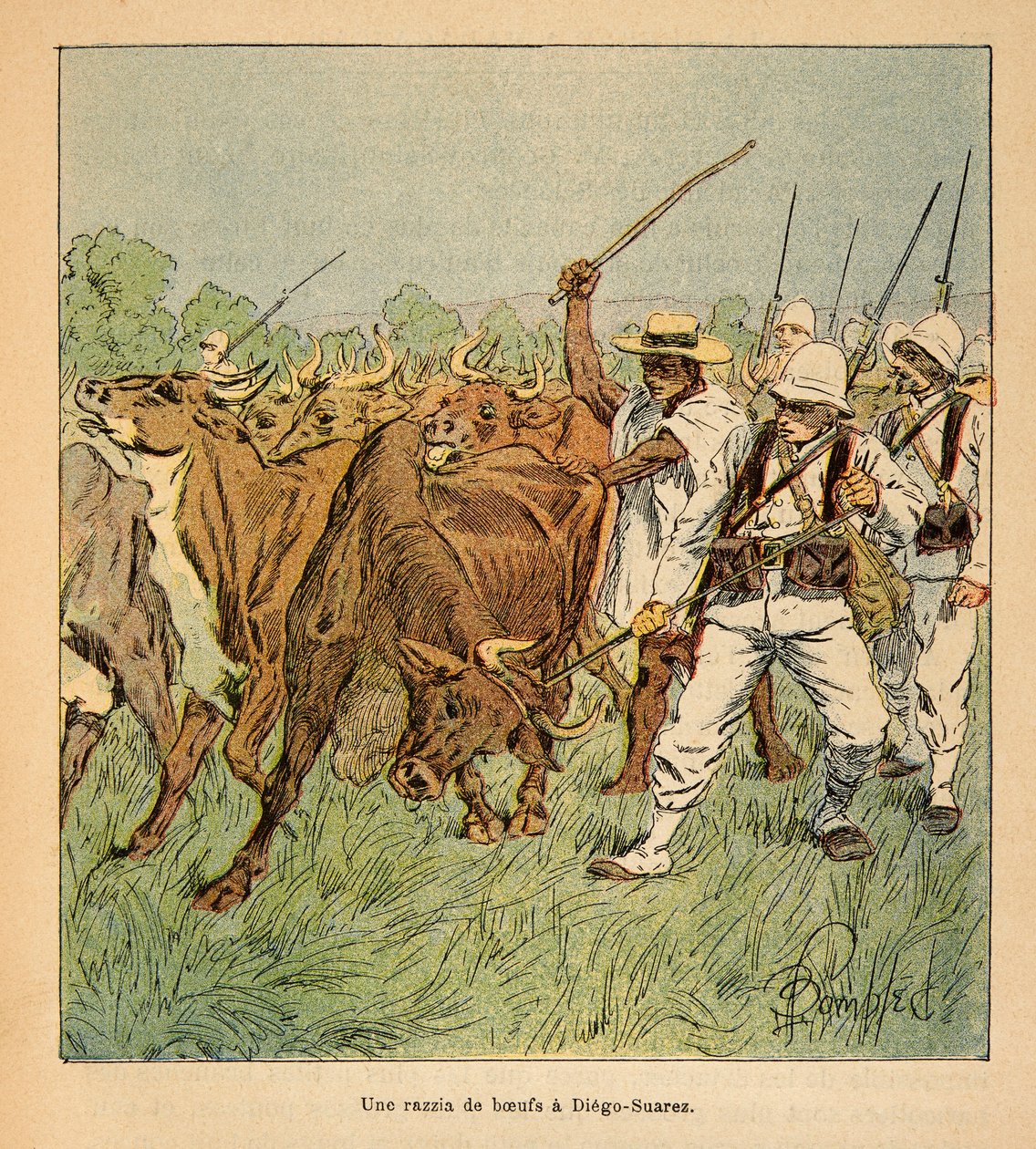 A madagaszkári háború – Az 1885-1895-ös francia expedíciók anekdotikus története, Henri Galli dit Galllichet (1854-1922), illusztrálta Louis Bombled (1862-1927): Diego-Suarezben a francia hadsereg ökröket követel, magángyűjtemény alkotó: Louis Charles Bombled