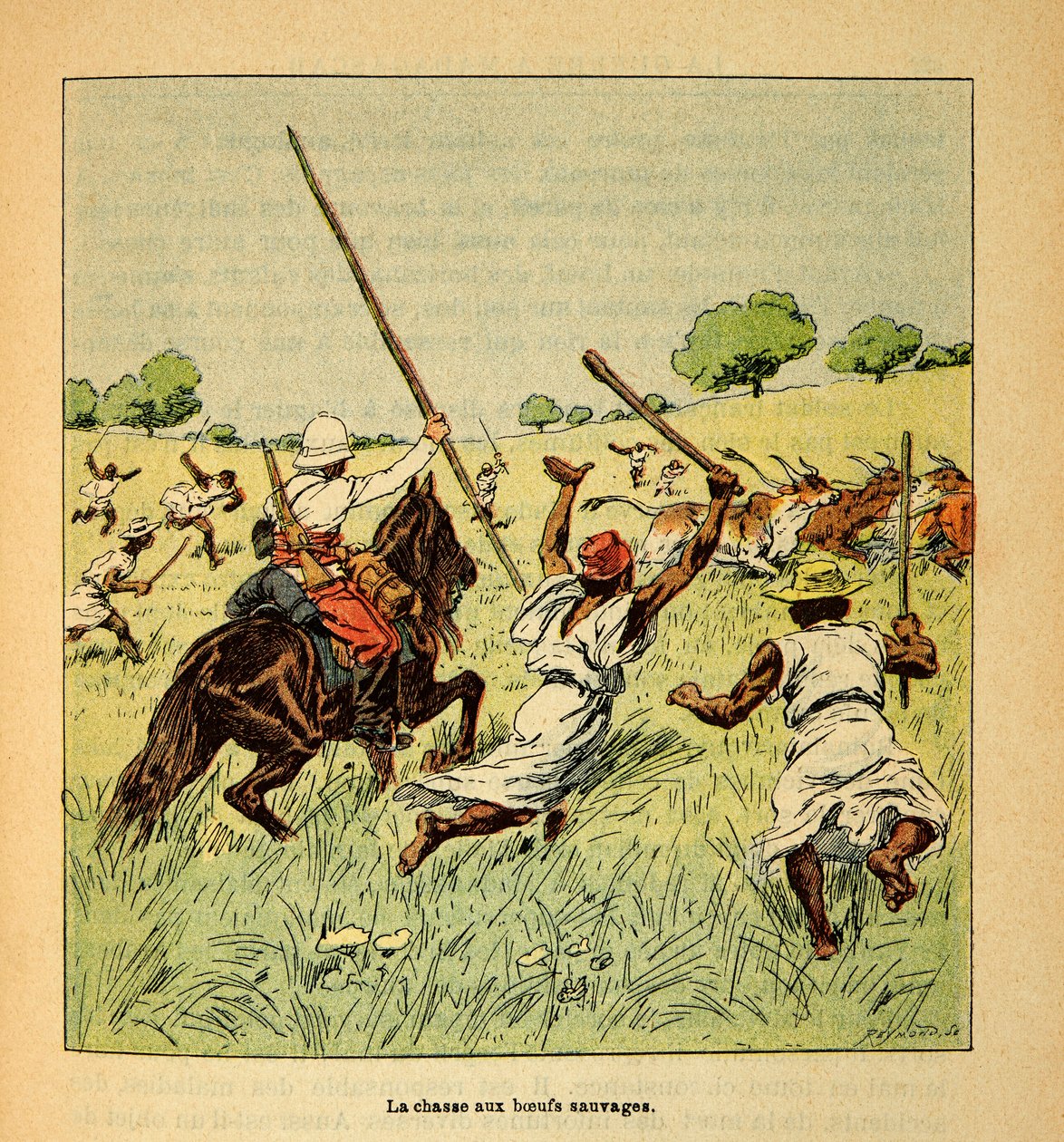 A madagaszkári háború – Az 1885-1895-ös francia expedíciók anekdotikus története, Henri Galli dit Galllichet (1854-1922), illusztrálta Louis Bombled (1862-1927): Vadökrök vadászata Madagaszkáron 1895-ben, Magángyűjtemény alkotó: Louis Charles Bombled