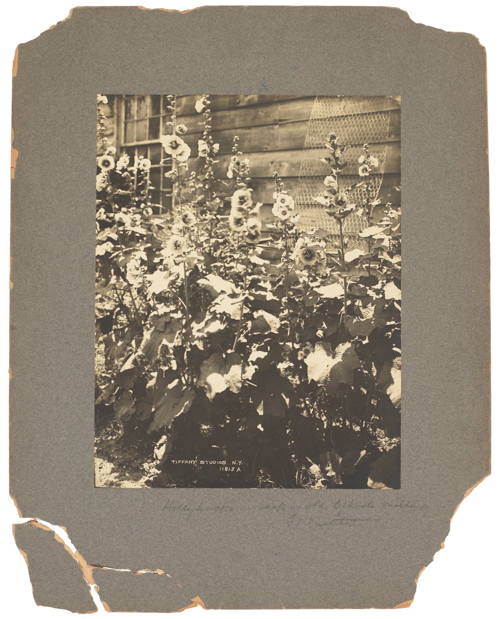 Tiffany Studios, 1898-1920 (f/f fénykép) alkotó: Louis Comfort Tiffany