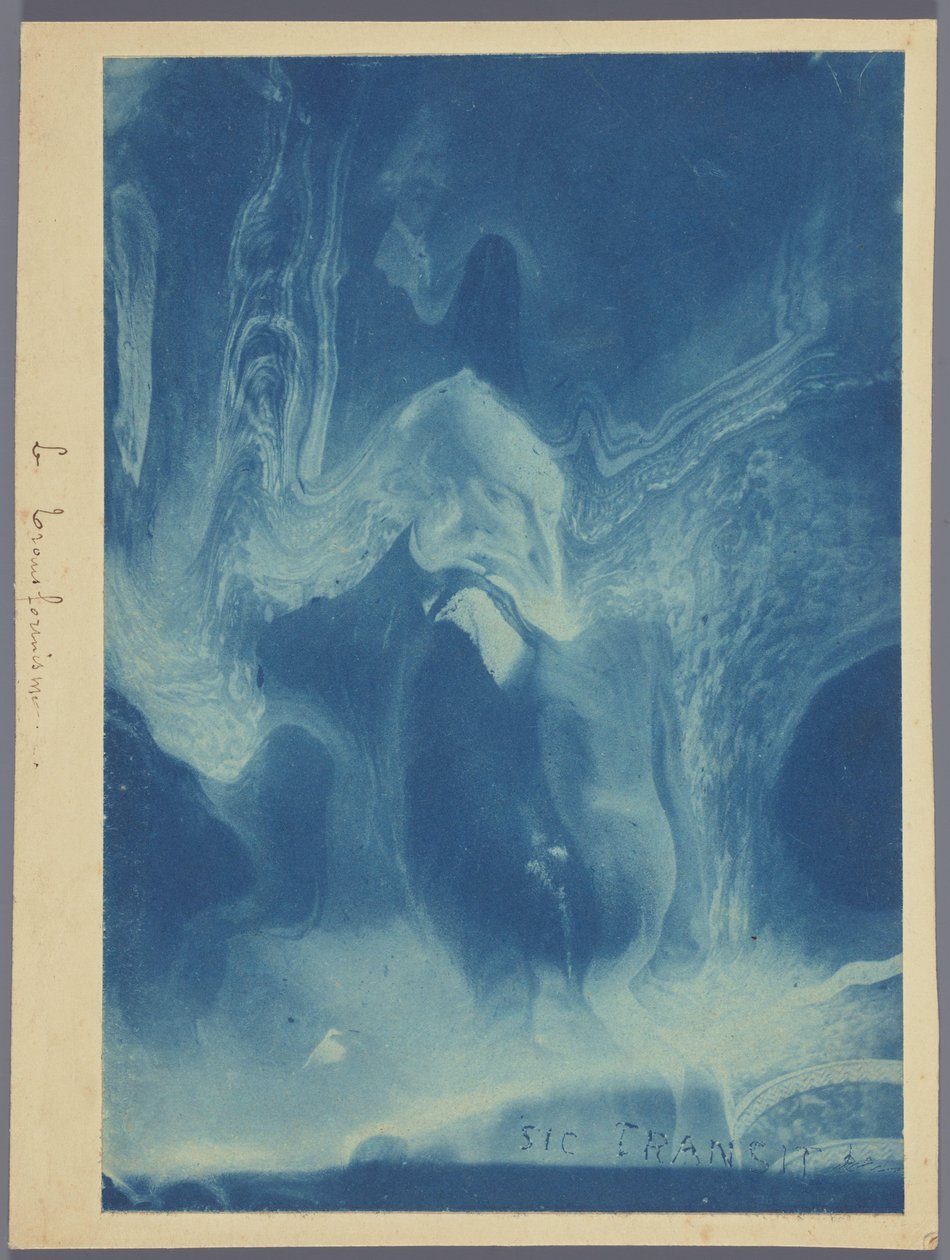 Le transformisme / Sic tranzit (cím az objektumon) alkotó: Louis Ducos du Hauron (attributed to)