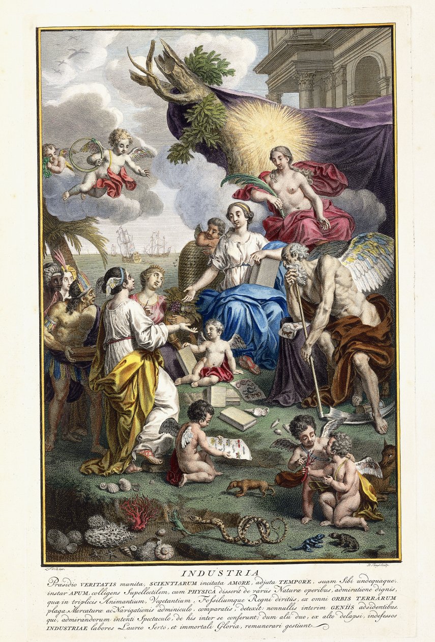 Ipar, előlap a "Természeti kincsek legpontosabb leírásából", 1734-1765 alkotó: Louis Fabricius Dubourg