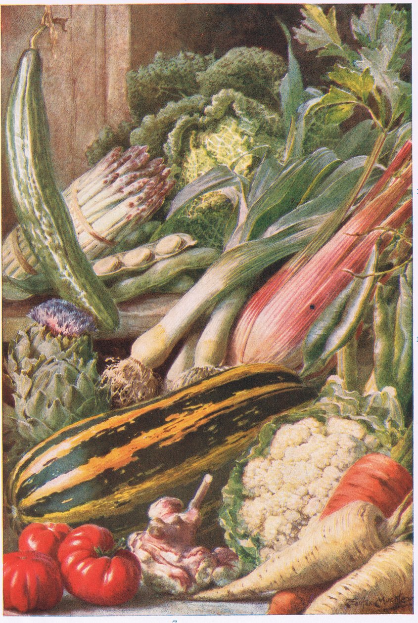 Kerti zöldségek, illusztráció a "Garden Ways and Garden Days"-ből (színes litho) alkotó: Louis Fairfax Muckley