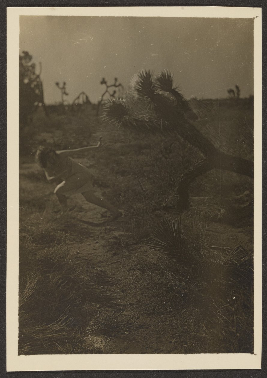 [Bogey Man of the Desert] alkotó: Louis Fleckenstein
