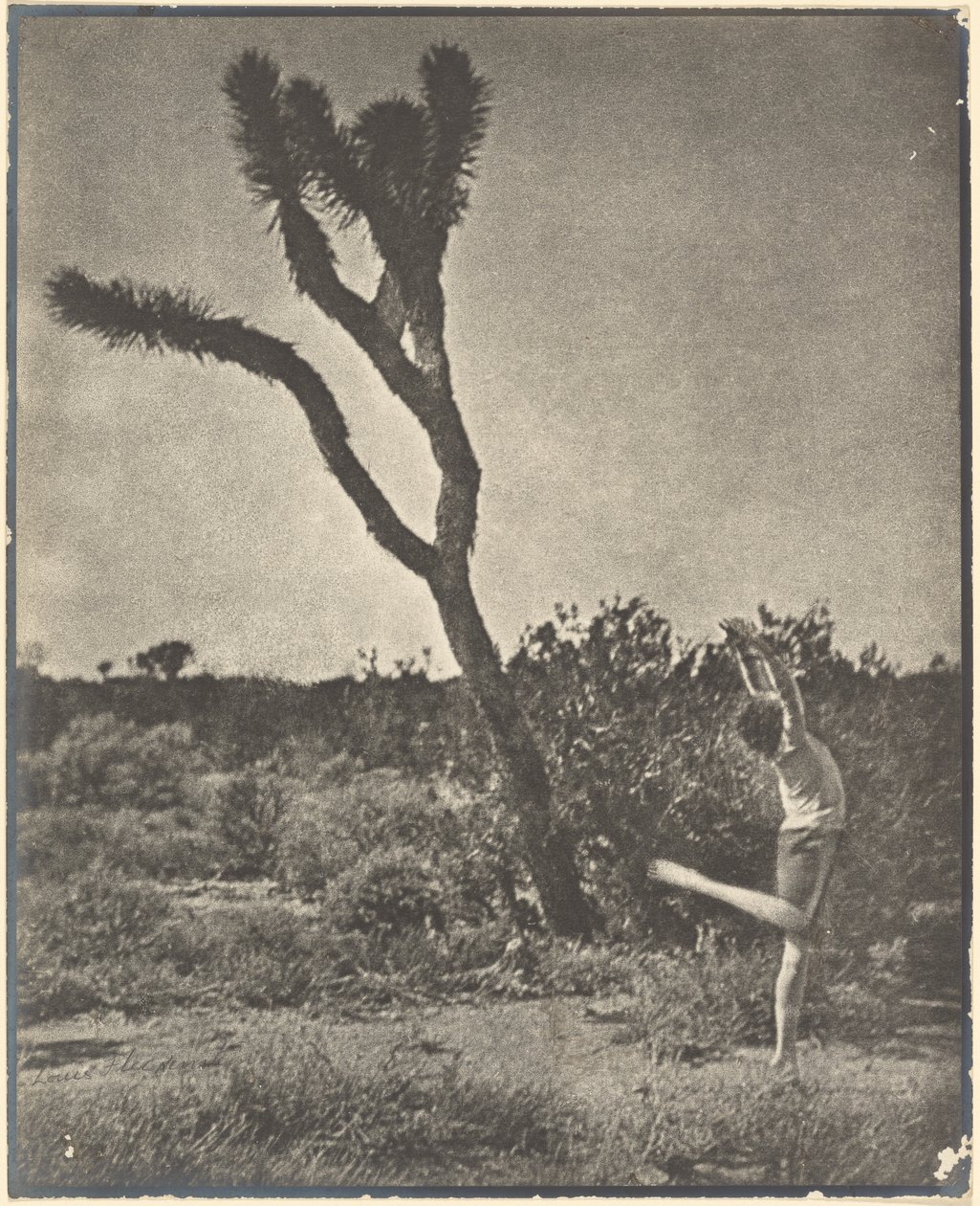 [Táncos a Joshua Tree-nél] alkotó: Louis Fleckenstein