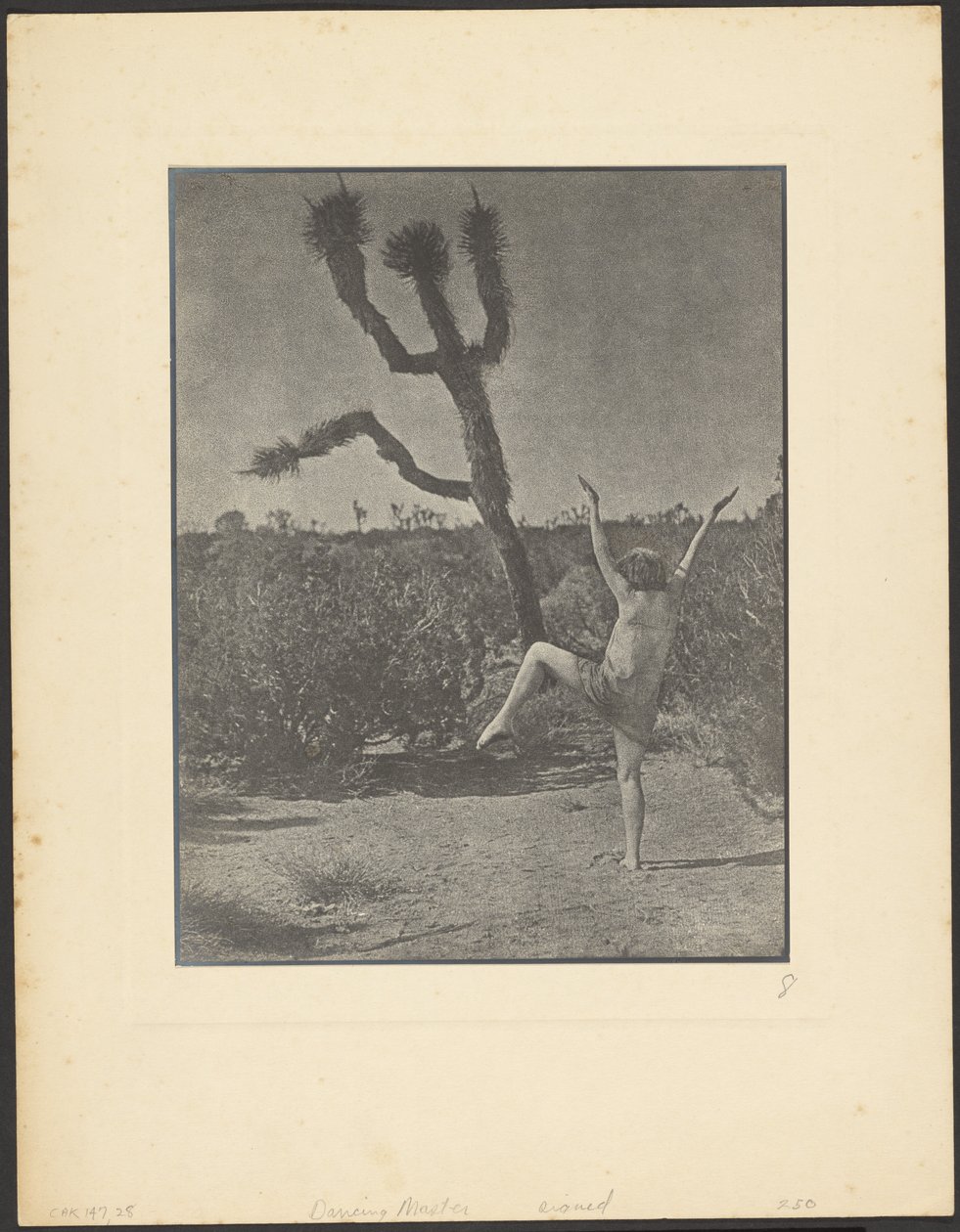 Dancing Master alkotó: Louis Fleckenstein
