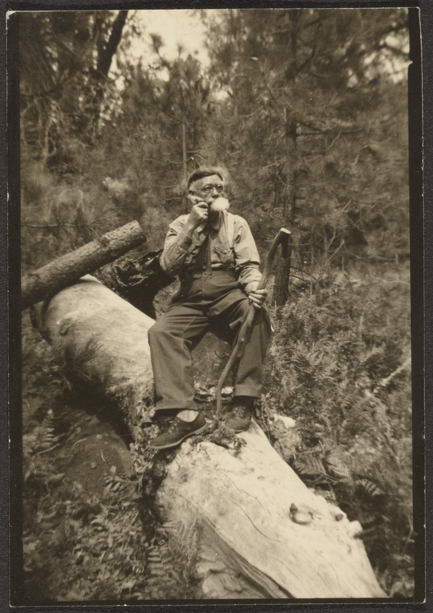 [Fleckenstein on a Log] alkotó: Louis Fleckenstein