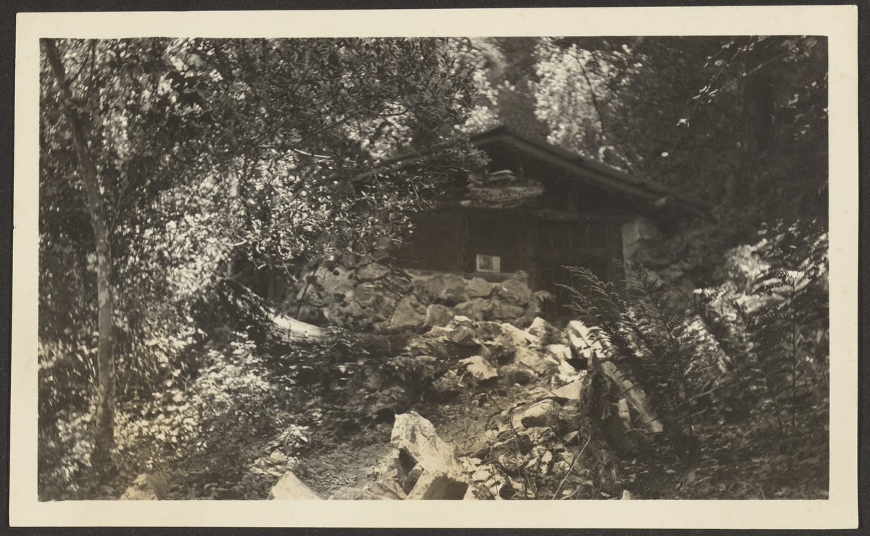 [Forest Lodge] alkotó: Louis Fleckenstein