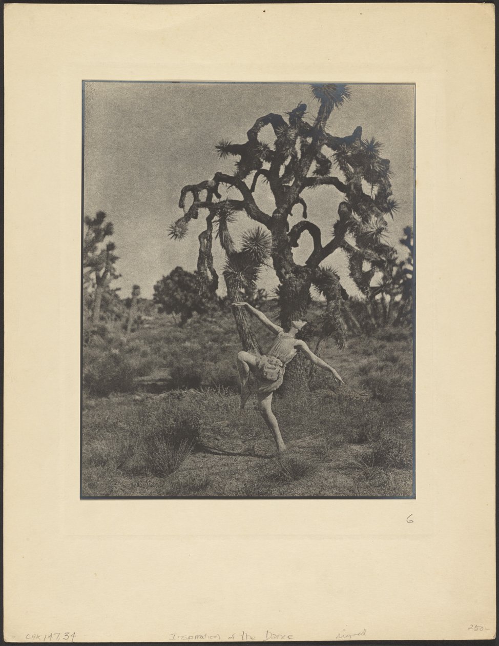 A tánc ihletforrása alkotó: Louis Fleckenstein