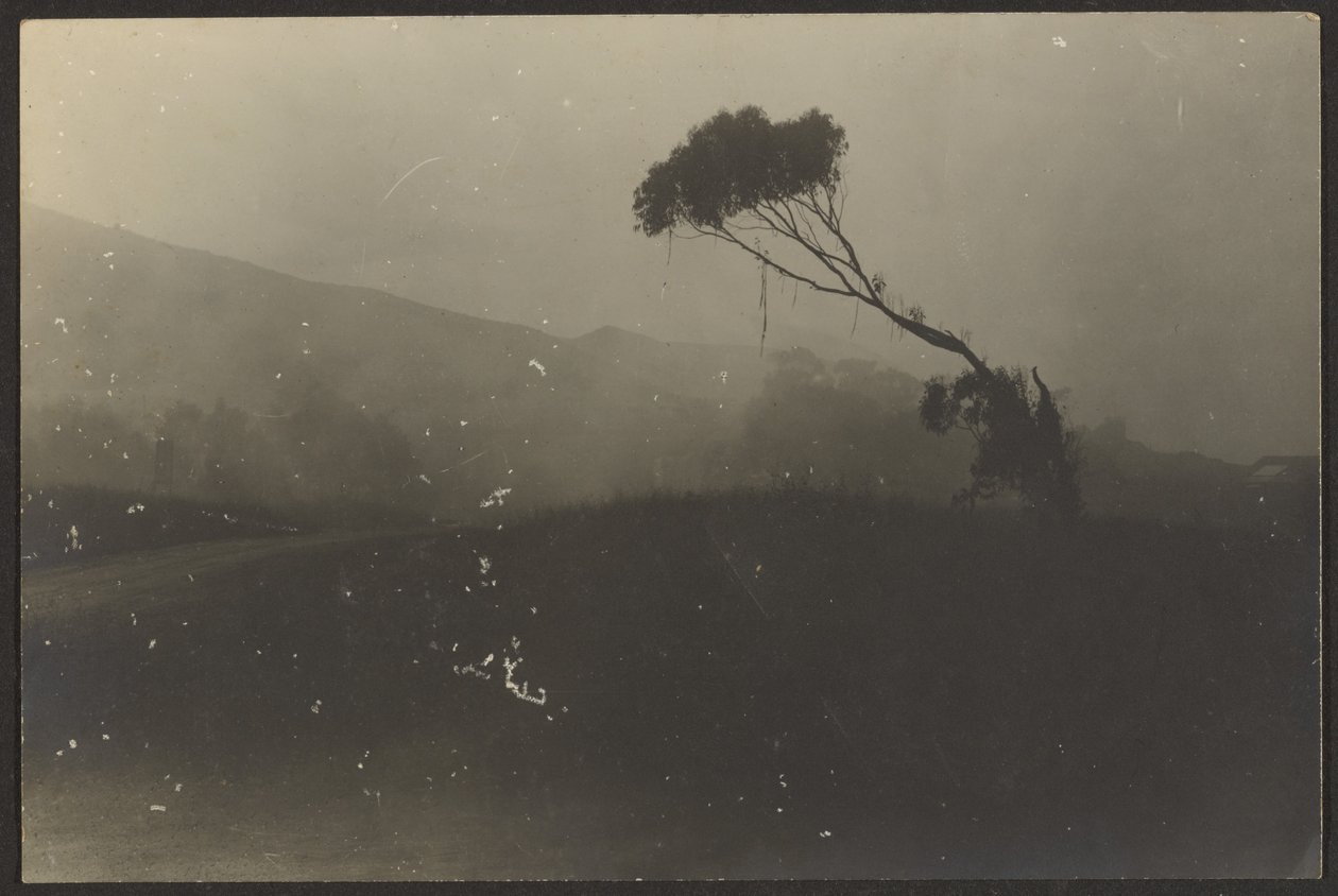 Laguna Beach alkotó: Louis Fleckenstein
