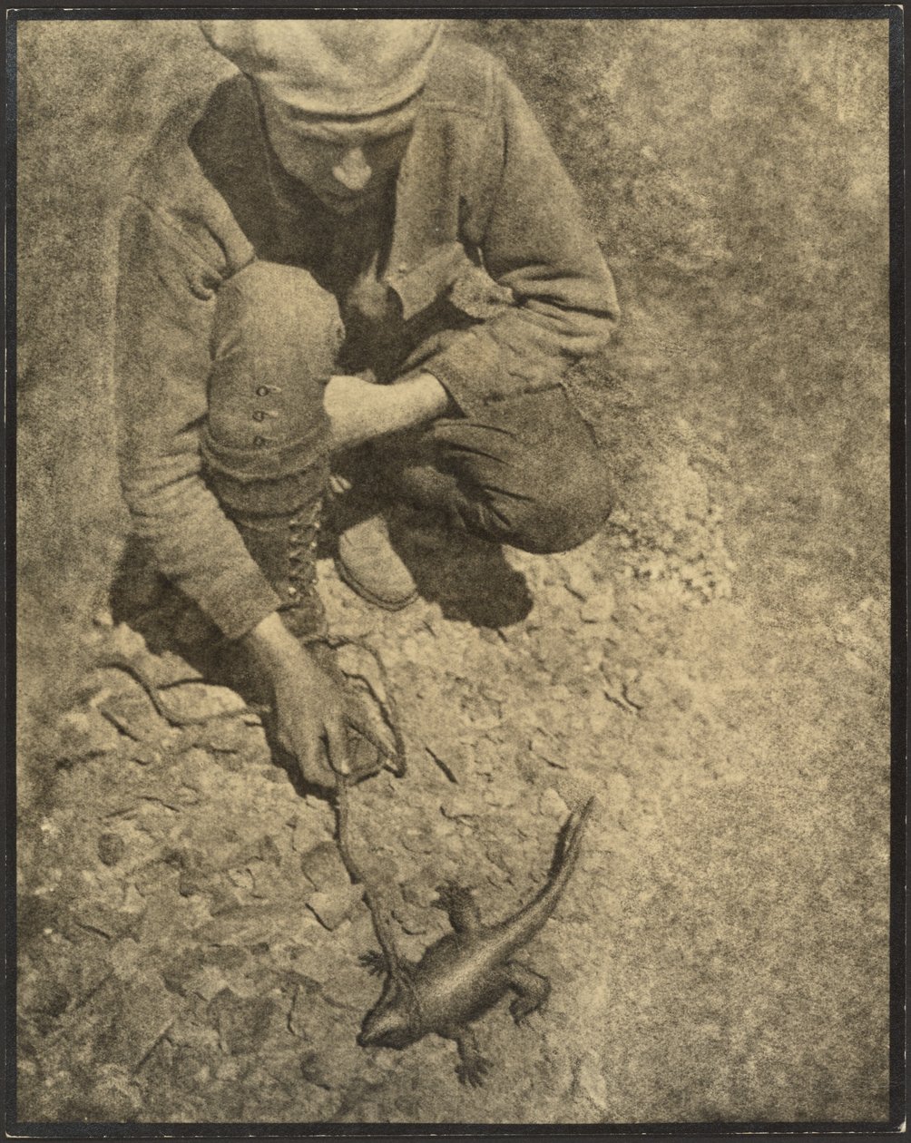 [A gyíkos férfi] alkotó: Louis Fleckenstein
