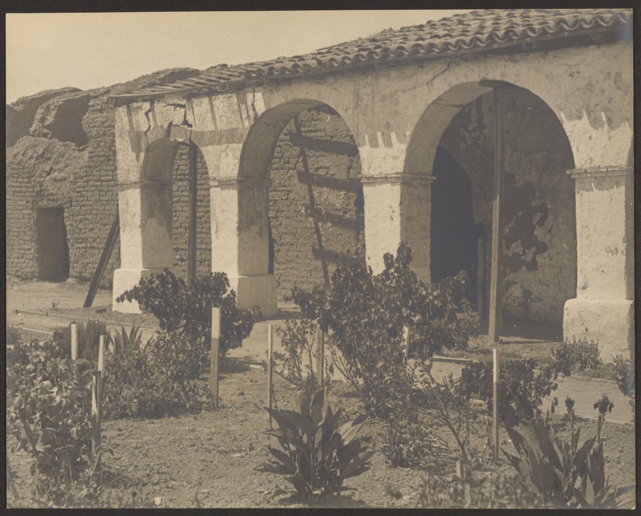 [Mission Garden] alkotó: Louis Fleckenstein