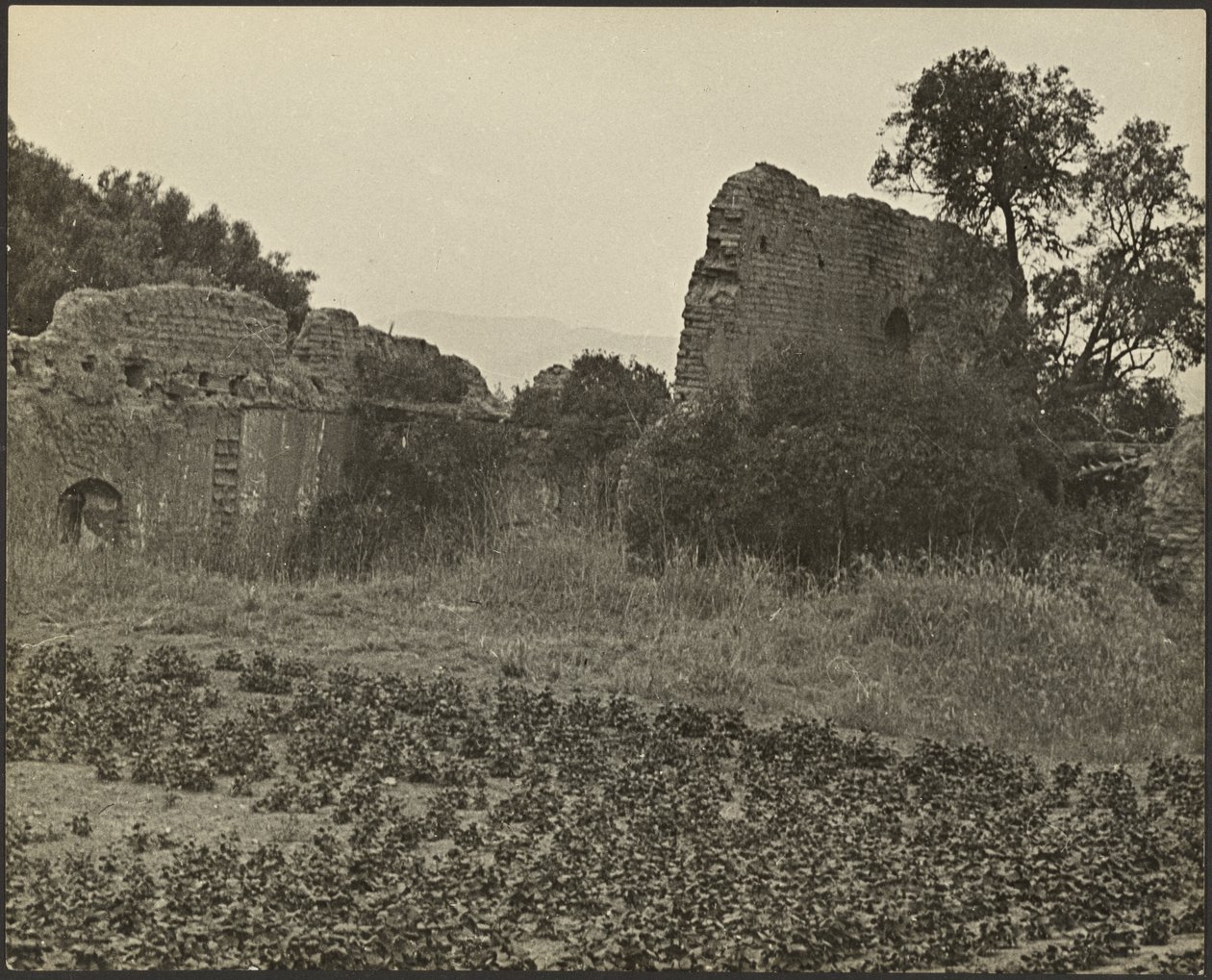 A Purisima Concepcion misszió romjai alkotó: Louis Fleckenstein