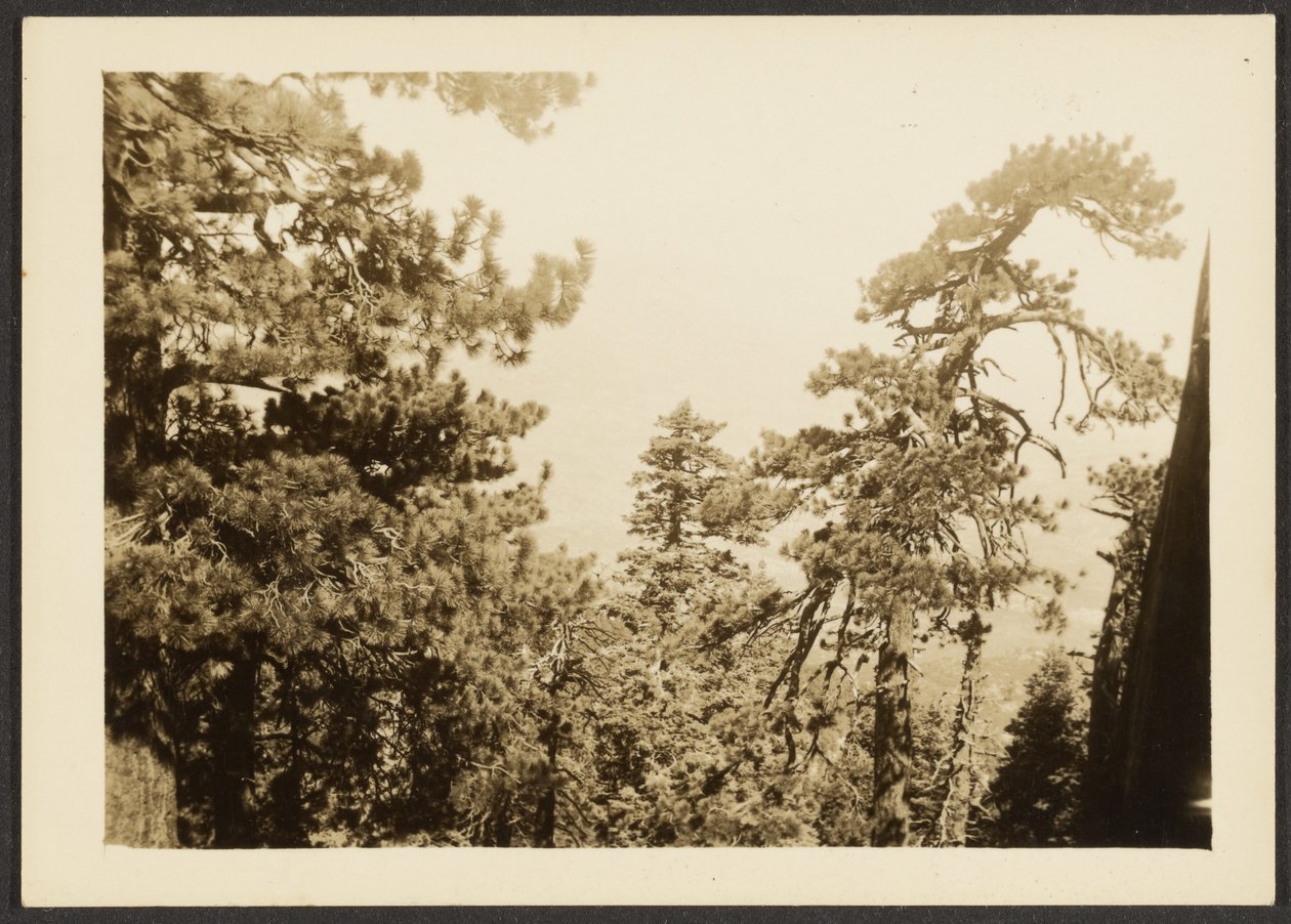 [Santa Rosa Peak] alkotó: Louis Fleckenstein