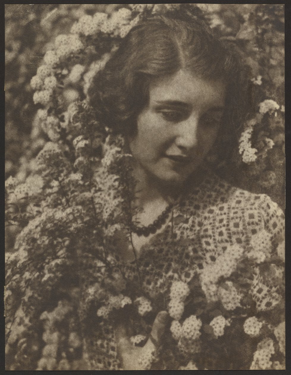 Spirea alkotó: Louis Fleckenstein