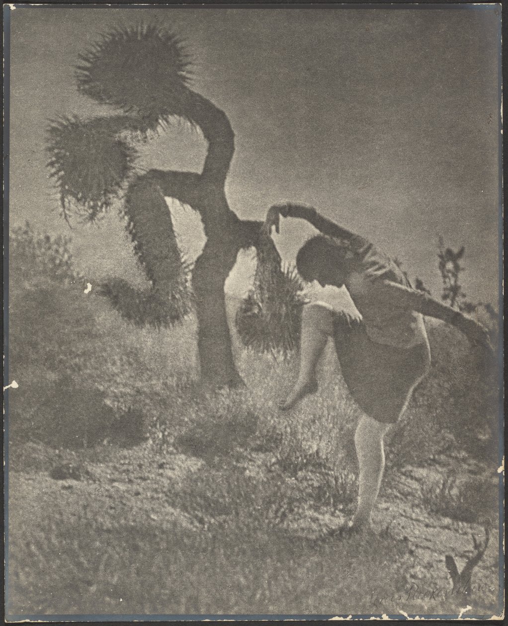 A bohócos Joshua alkotó: Louis Fleckenstein