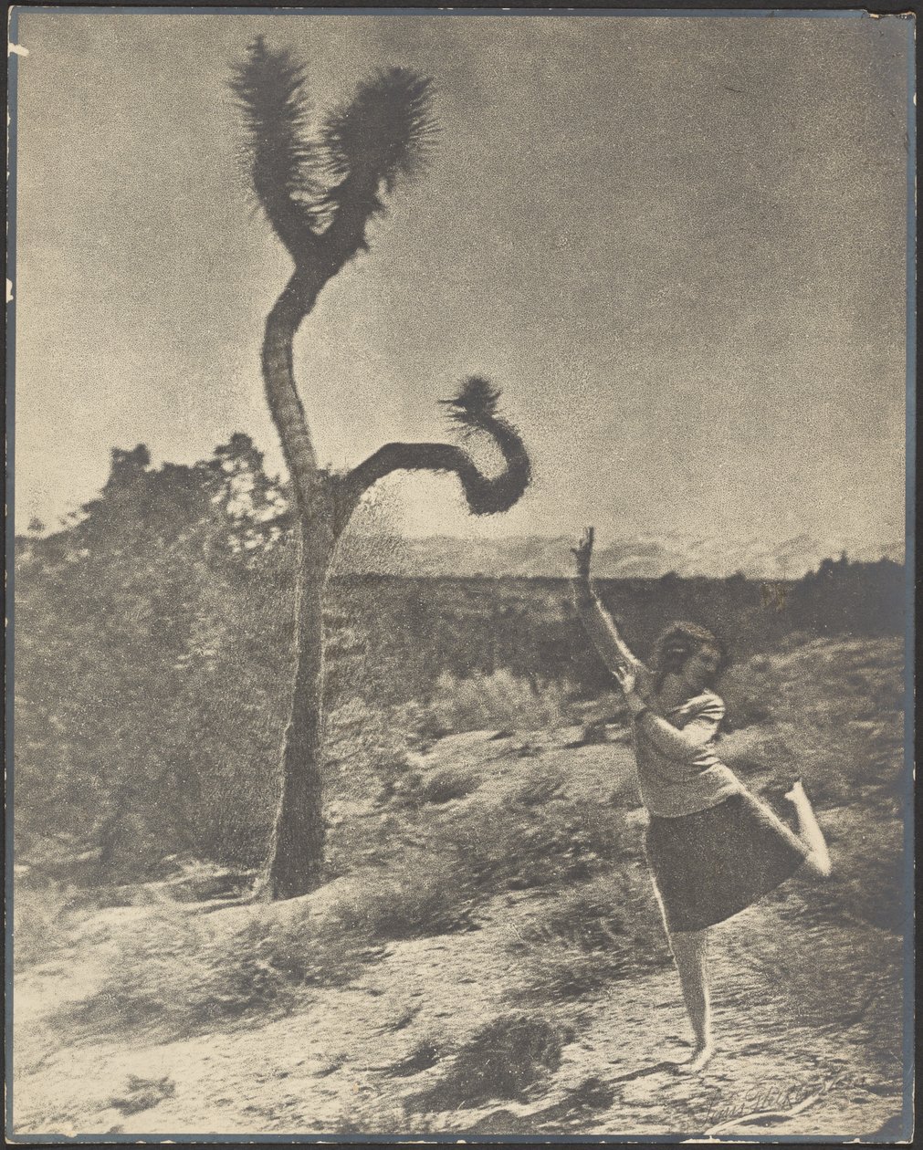 A „Corkscrew Twist” alkotó: Louis Fleckenstein