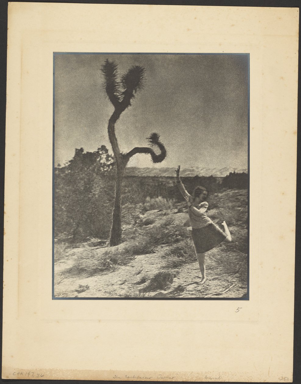 A „Corkscrew Twist” alkotó: Louis Fleckenstein