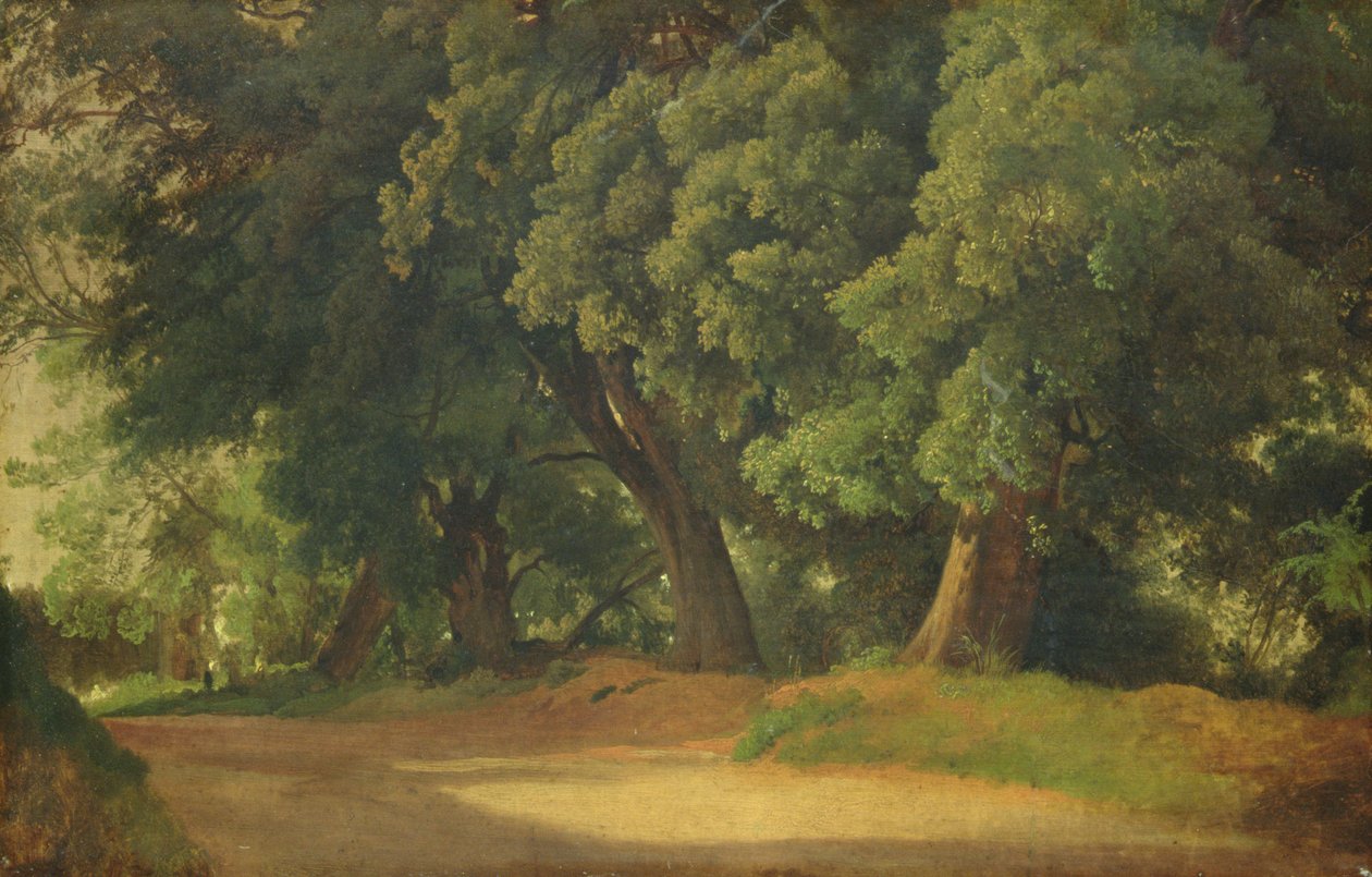 Tölgyfák Holsteinben (olaj, papír, fa) alkotó: Louis Gurlitt