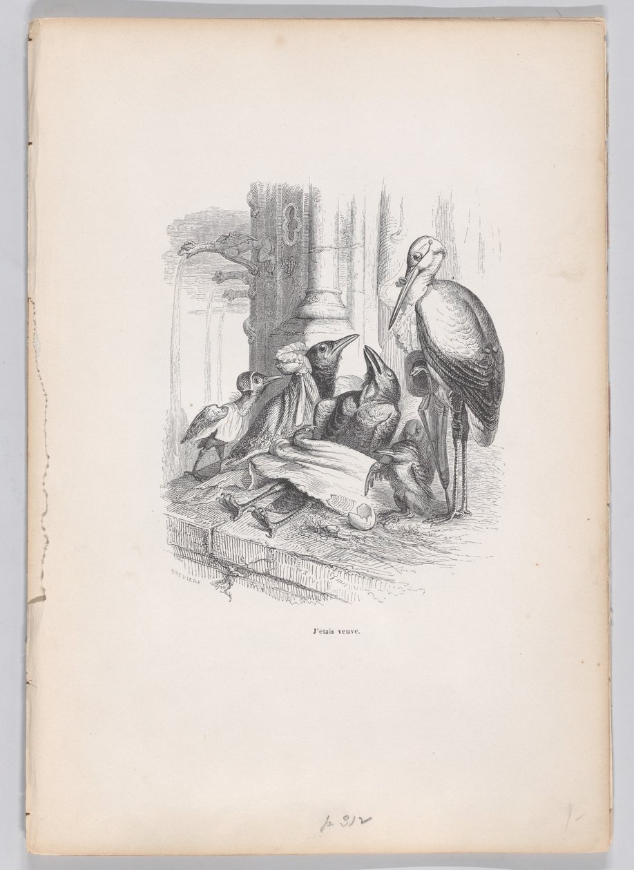 Özvegy voltam a Jelenetek az állatok magán- és közéletéből, kb. 1837-47. alkotó: Louis Henri Brévière