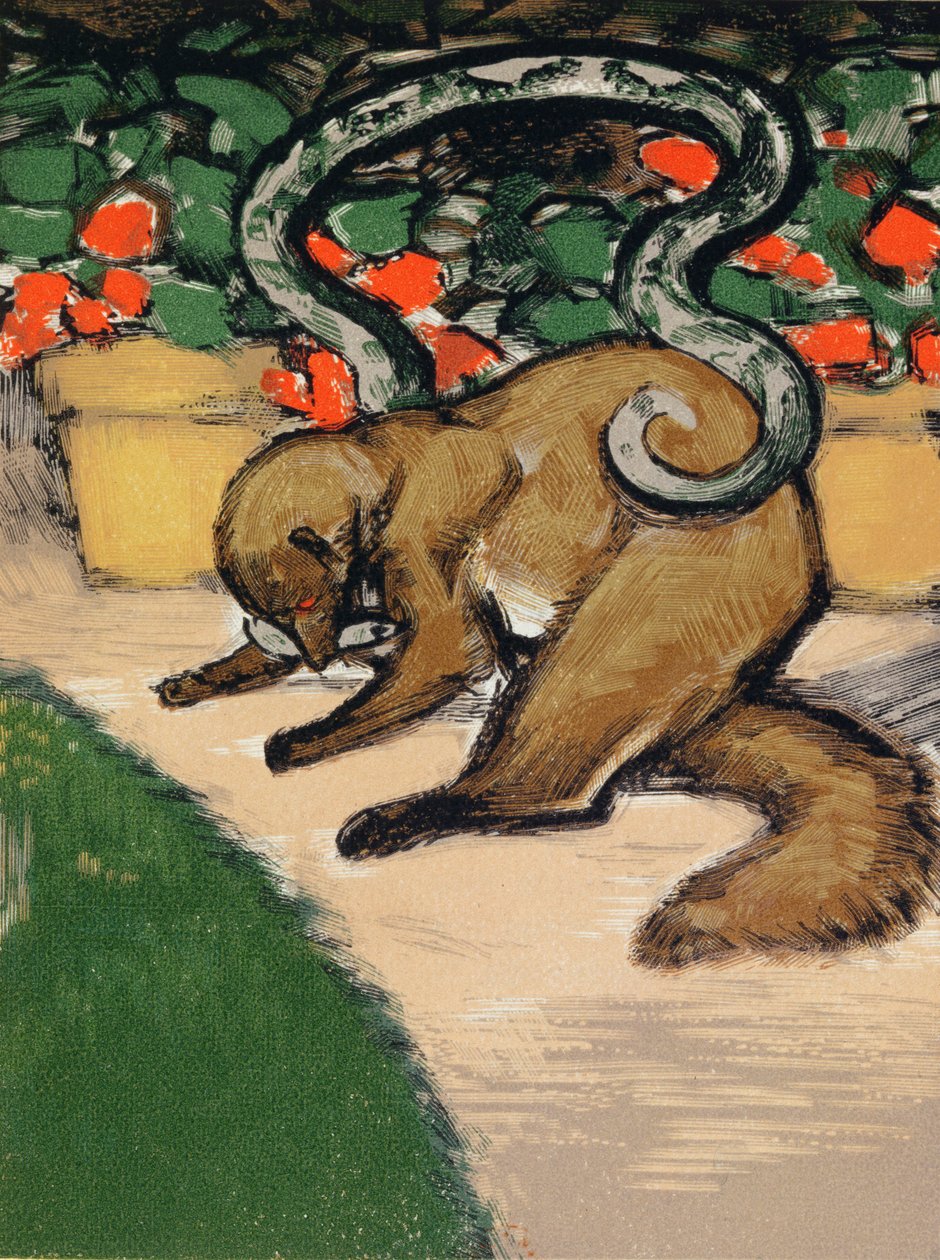 Rikki-Tikki-Tavi, illusztráció Rudyard Kipling "A dzsungel könyve" című művéből (1965-1936), Párizsban jelent meg. alkotó: Louis Joseph Soulas