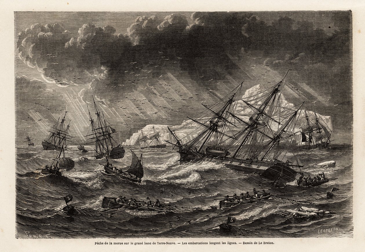 Tőkehal horgászata a Grand Bank of Newfoundlandban, a csónakok követik a Lebreton által rajzolt vonalakat, hogy illusztrálják A. de Gobineau 1860-as új-fundlandi útját. Gravírozás a „Le tour du monde”-ban, szerkesztette Edouard Charton alkotó: Louis Le Breton