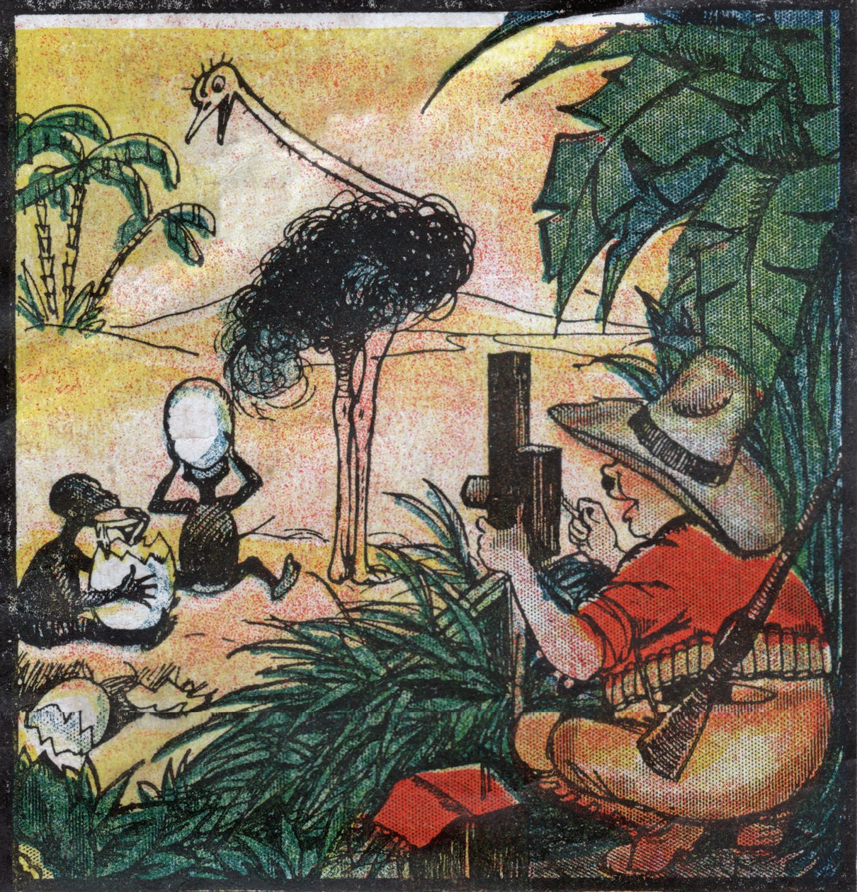 Nestor Fenleroc, az európai vastagbél egy struccot fényképez Afrikában. 1923 (metszet) alkotó: Louis Peltier