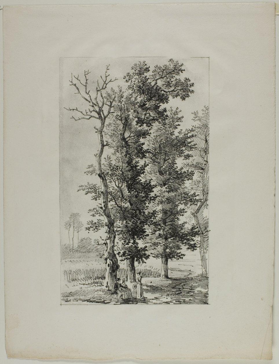 Fák tanulmányozása alkotó: Louis Pierre Baltard