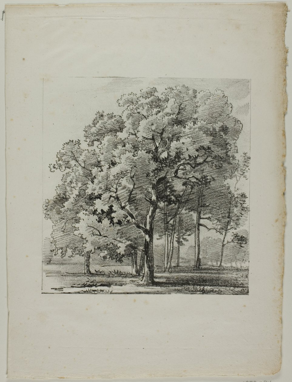 Fák tanulmányozása alkotó: Louis Pierre Baltard