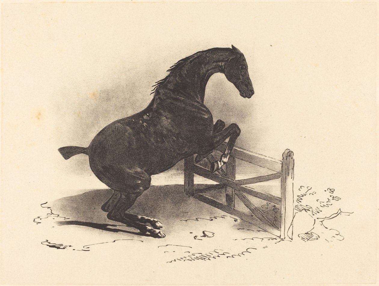 Ló ugrás egy akadályon alkotó: Louis Pierre Marie Courtin after Théodore Gericault