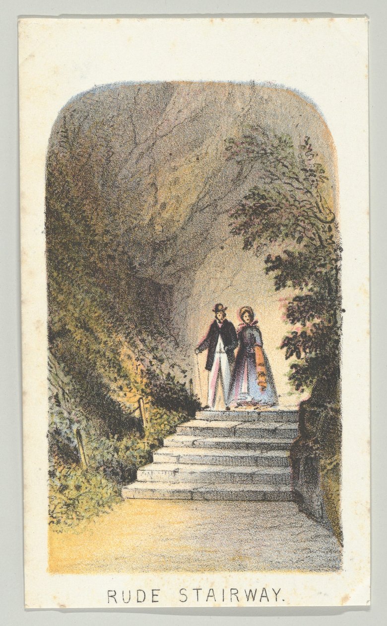 Rude Stairway a sorozatból, Views in Central Park, New York, 2. rész, 1864. alkotó: Louis Prang
