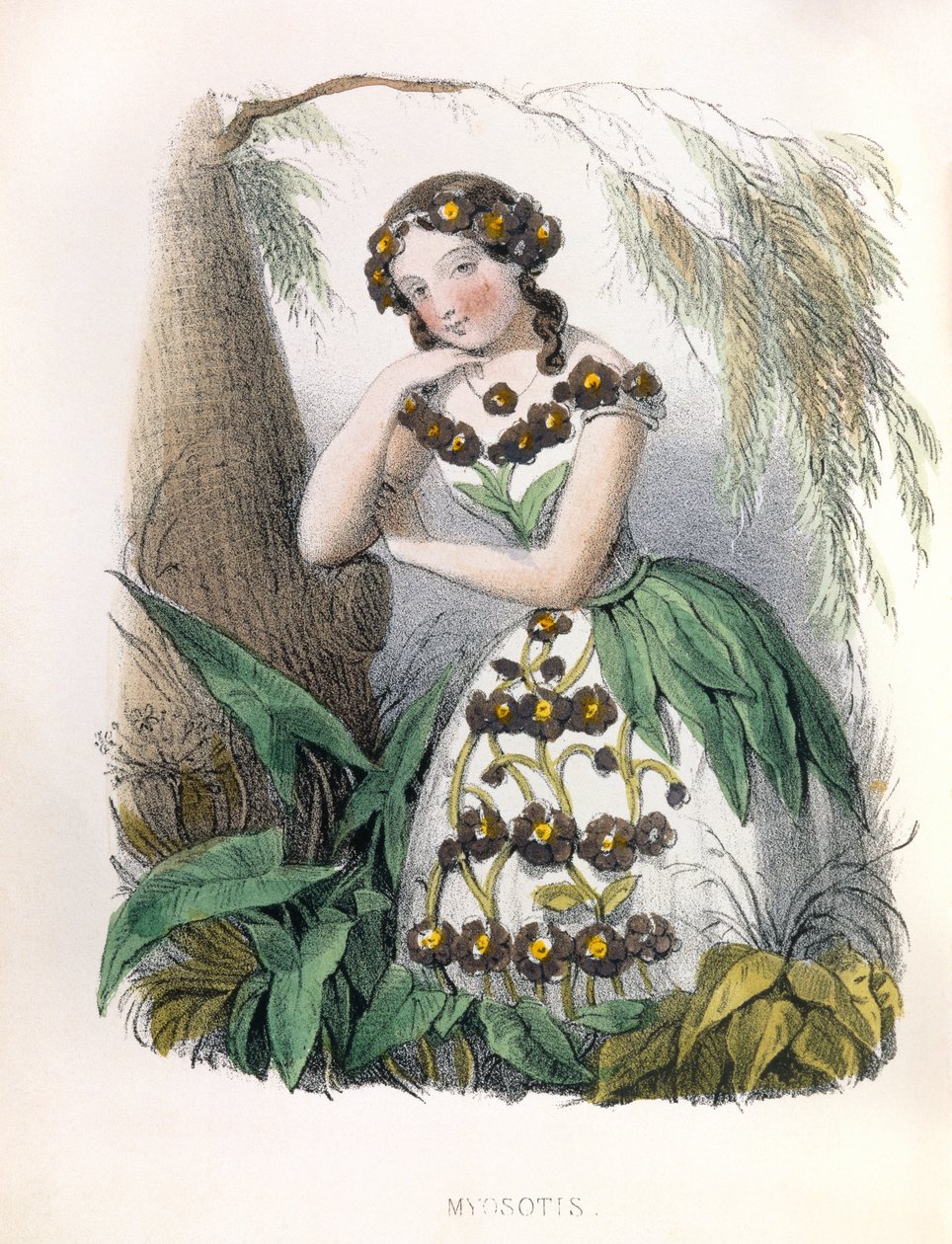  alkotó: Louis Simon (1810-1870) Lassalle