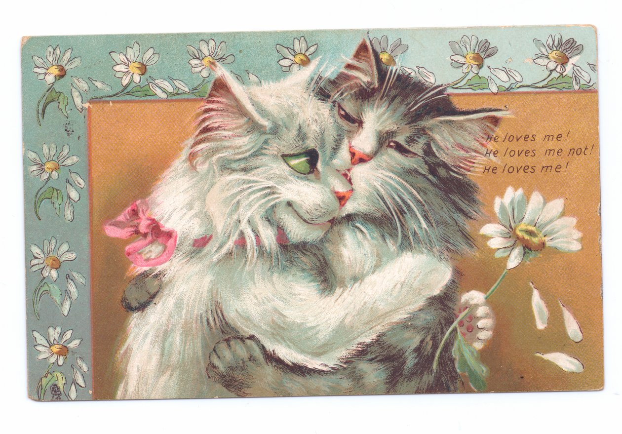 Edward korabeli képeslap két egymást ölelő macskával, 1910 körül alkotó: Louis Wain