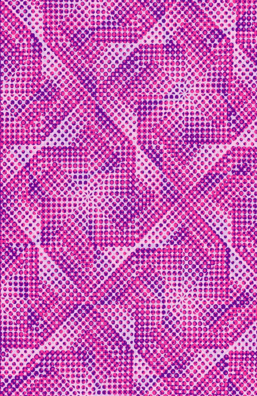 Dotty (digitális) alkotó: Louisa Hereford
