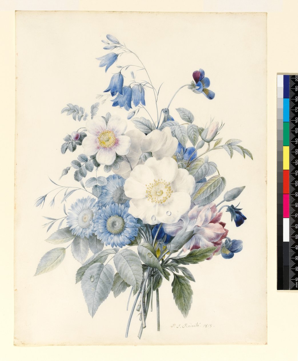 PD.847-1973 Nyári virágpermet, 1820 (wc és gouache pergamen) alkotó: Louise DOrleans