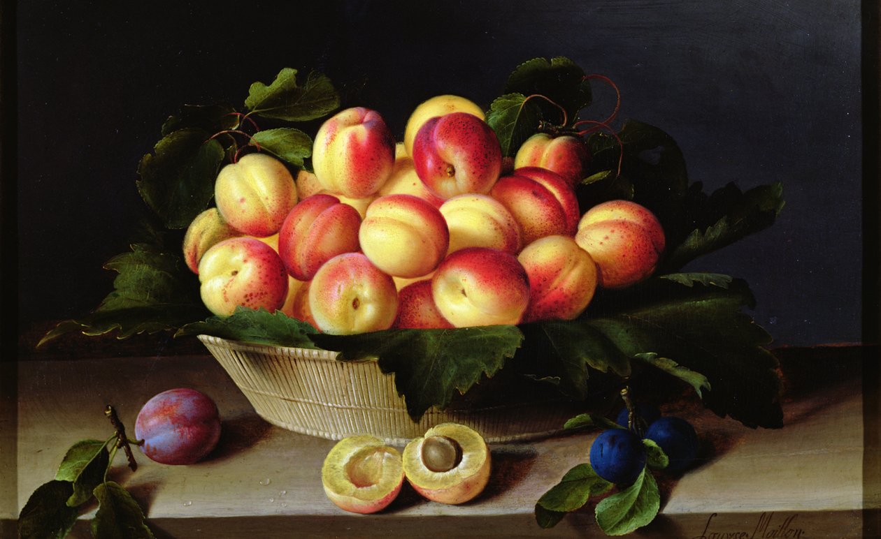 Sárgabarackos kosár, 1634 alkotó: Louise Moillon