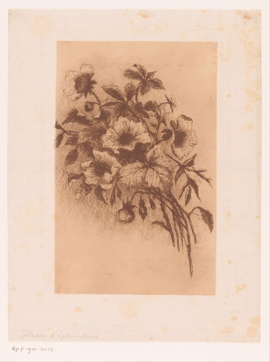 Virágok alkotó: Louise Elsen (attributed to)