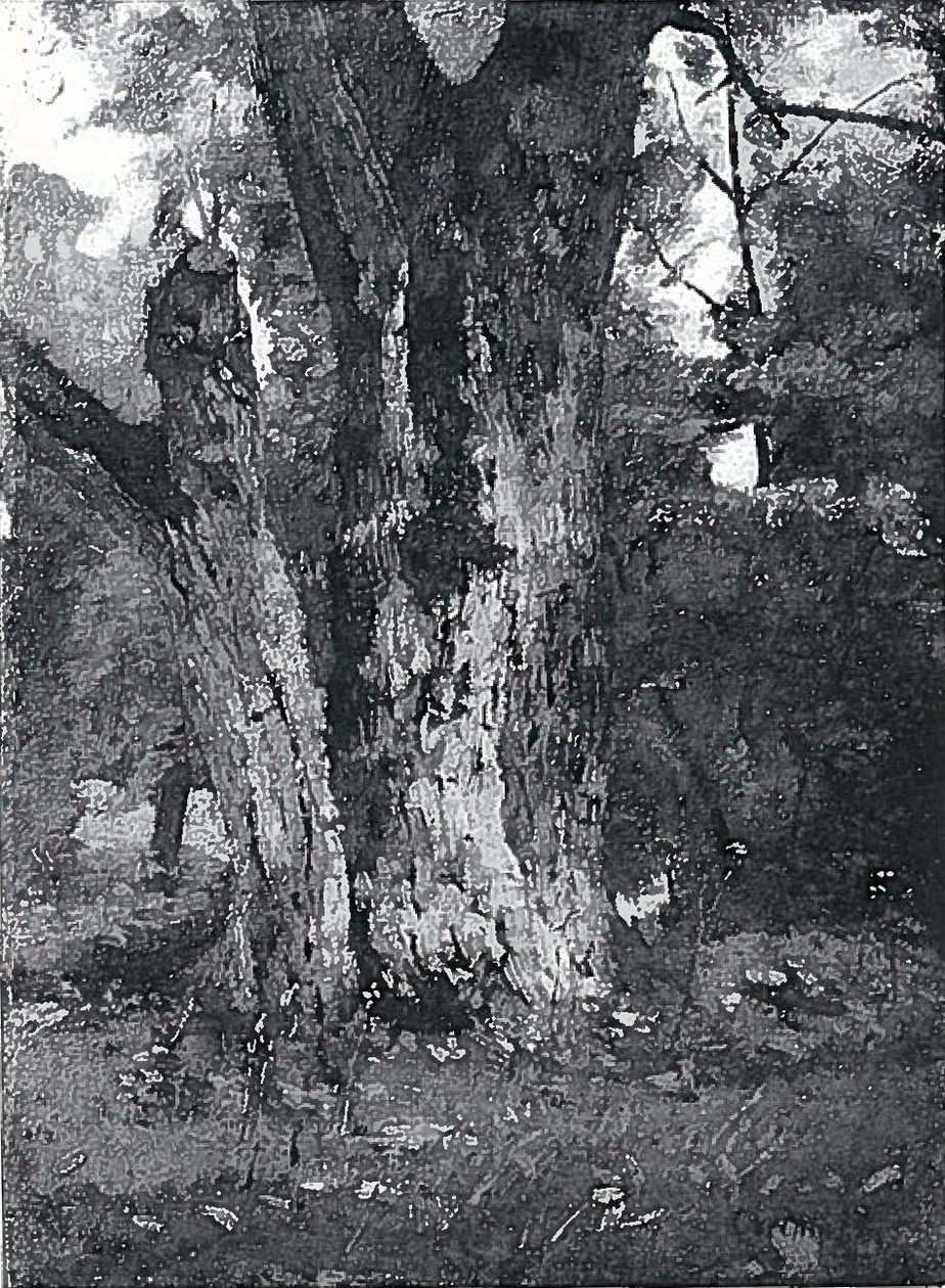 Aweiderpark Konigsbergnben alkotó: Lovis Corinth