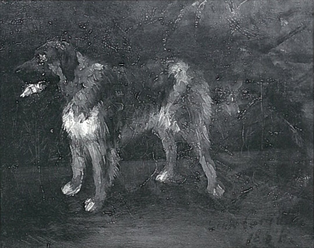 Kutya tanulmányok alkotó: Lovis Corinth