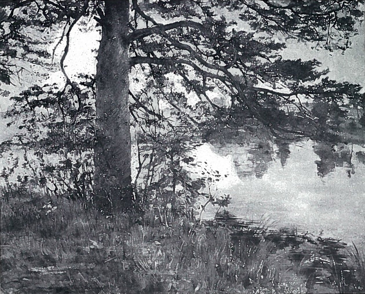 Fenyő a víz mellett alkotó: Lovis Corinth