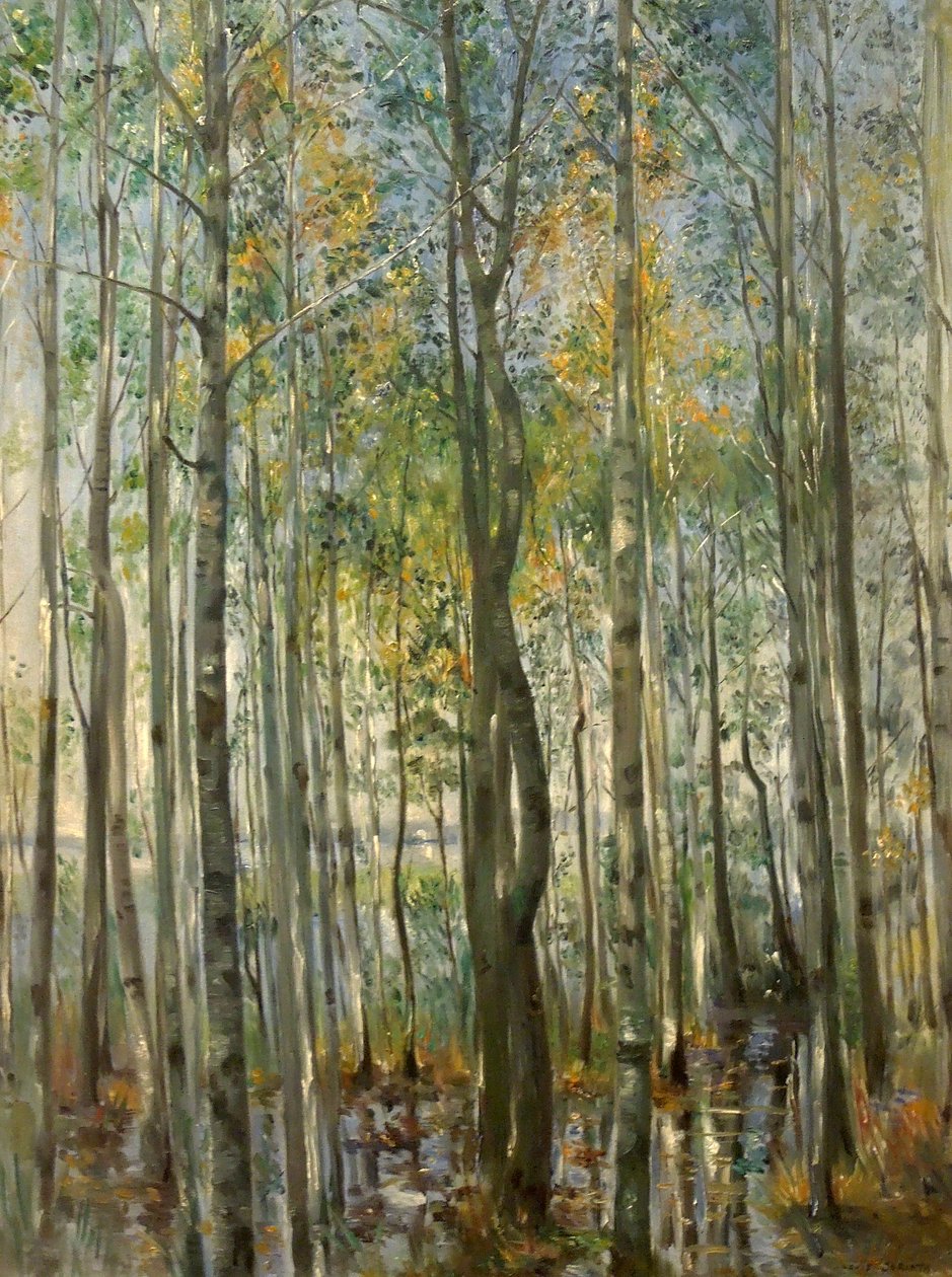 Egy erdő. Árvíz a Starnbergi-tónál alkotó: Lovis Corinth