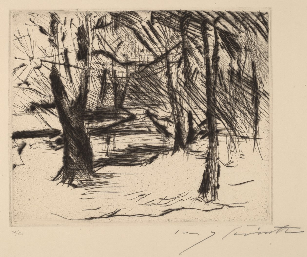 Fák Nappal Fák a Napban, 1920-1921. alkotó: Lovis Corinth