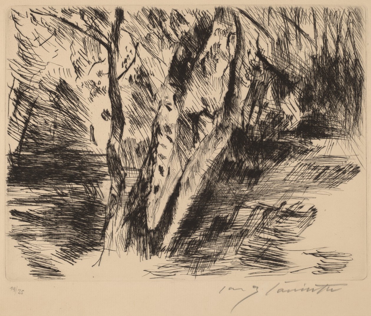 Nyírfák a Tiergartenben alkotó: Lovis Corinth