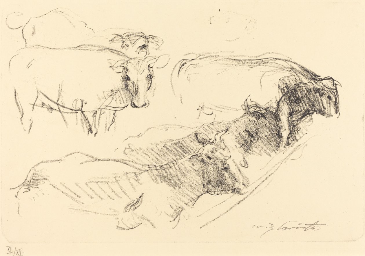 tehenek alkotó: Lovis Corinth
