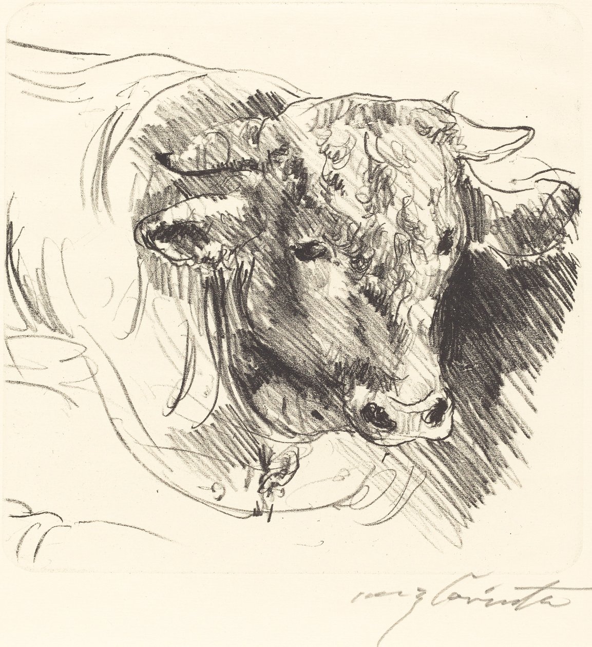 Stierkopf (a kormány vezetője) alkotó: Lovis Corinth