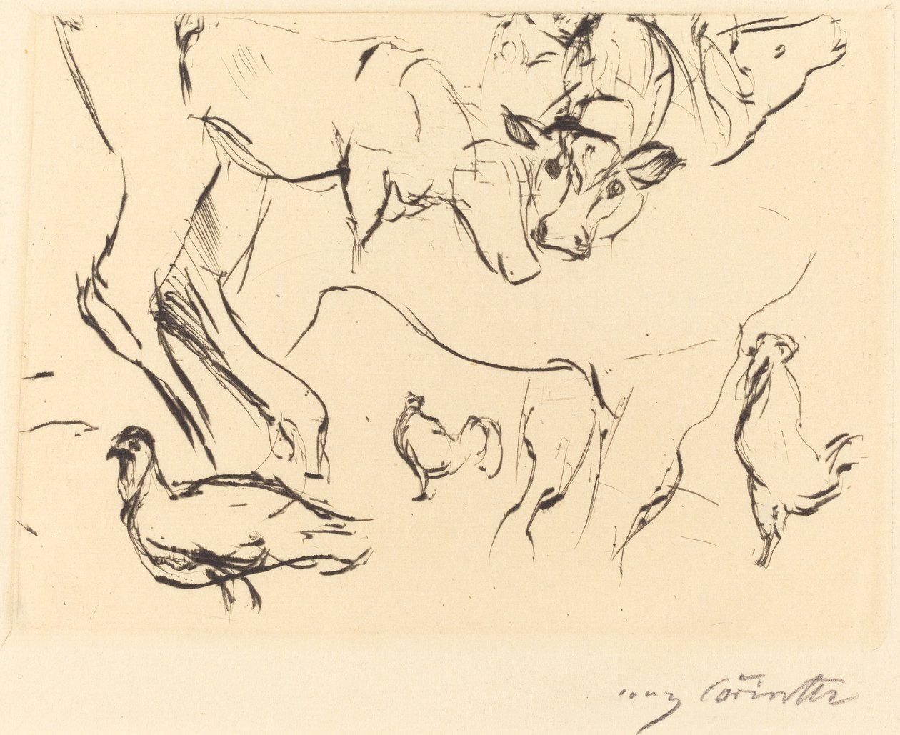 Különféle állattanulmányok alkotó: Lovis Corinth