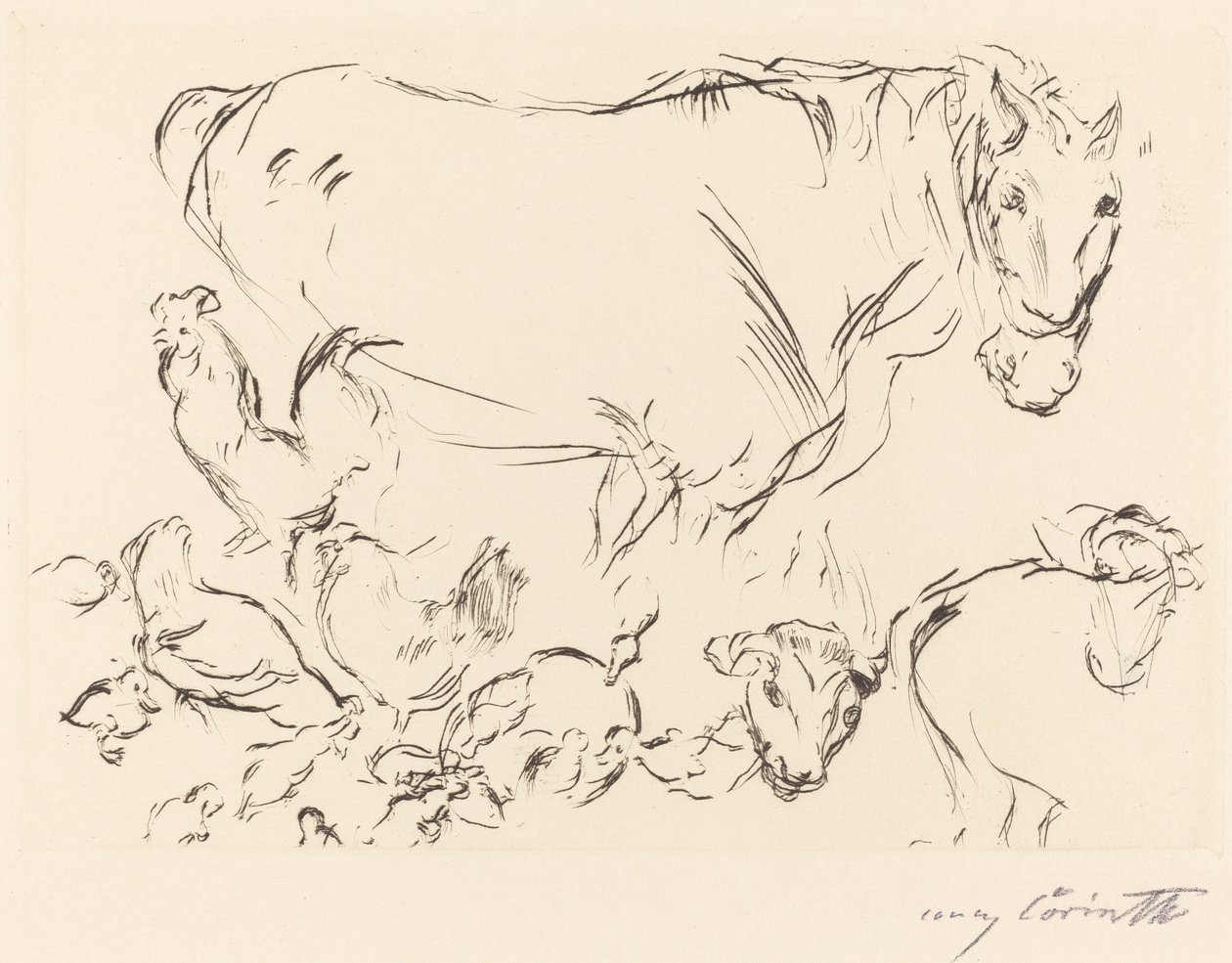 Különféle állattanulmányok Animal Studies, 1917. alkotó: Lovis Corinth