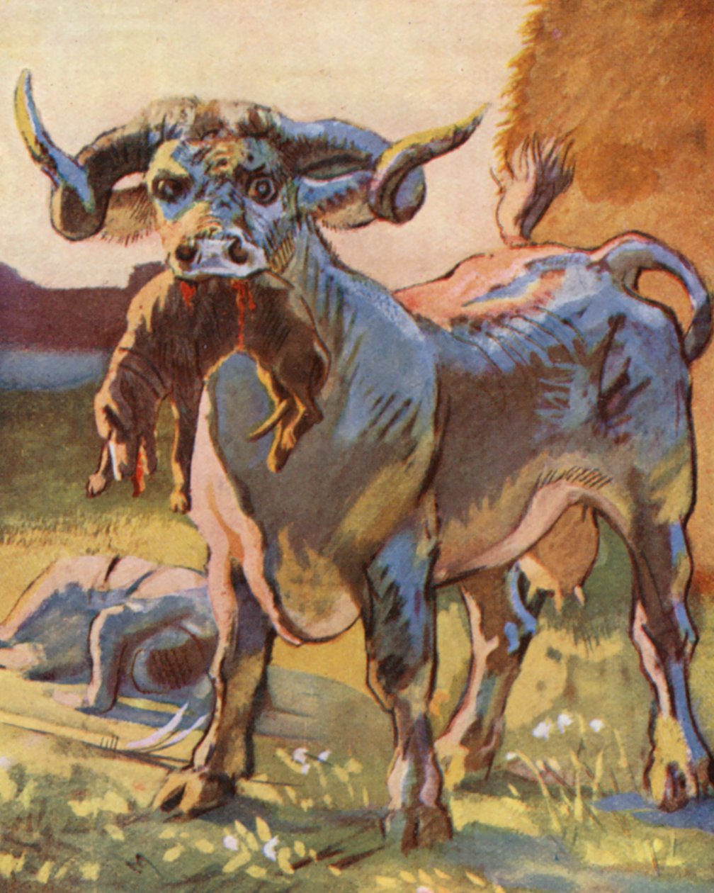 Illusztráció Guy of Warwick történeteihez (színes litográfia) alkotó: Lowes Dalbiac Luard